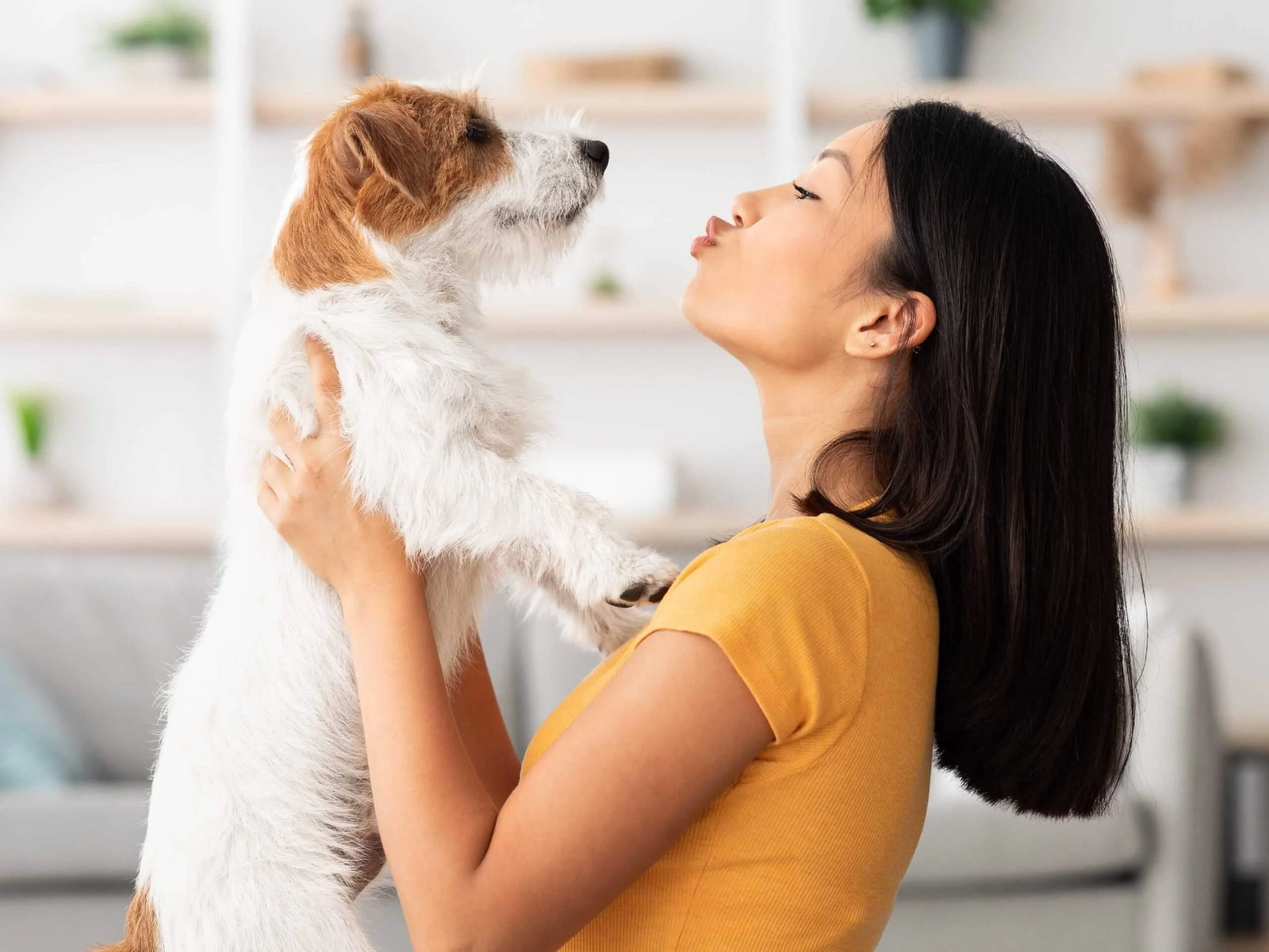 Apartment-People_8-compressed-scaled